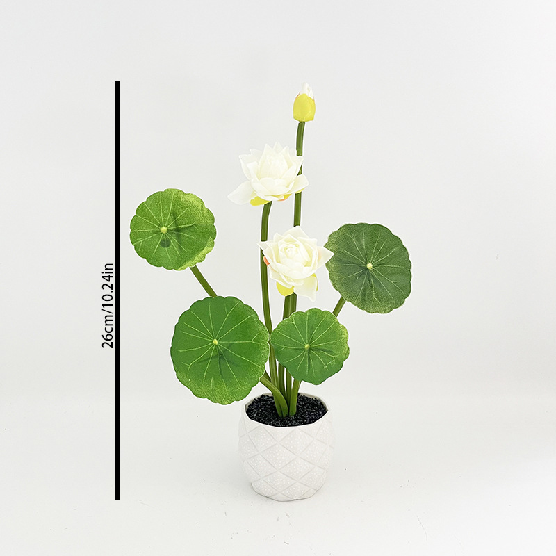 Mini Simülasyon Lotus Saksı Bi - Photography Simulator incelemesi ve fiyatı