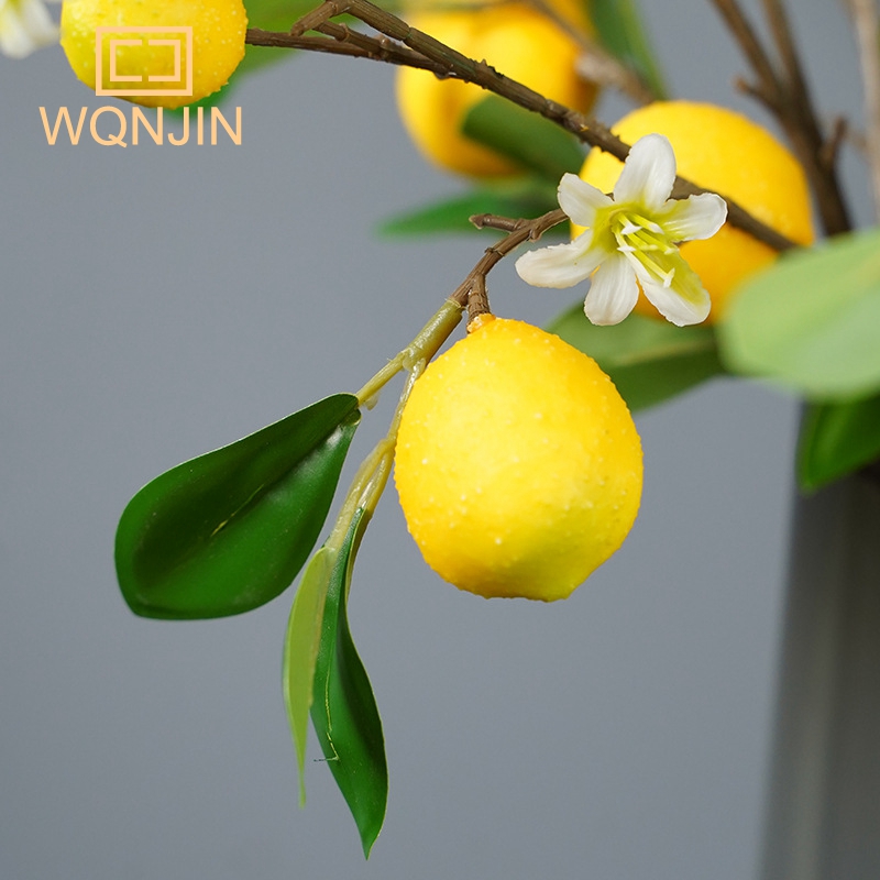 Meyve Simülasyonu Ile Limon Da - Photography Simulator incelemesi ve fiyatı